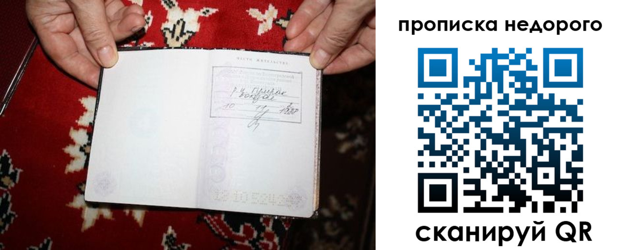 прописка гарантия в Фролово